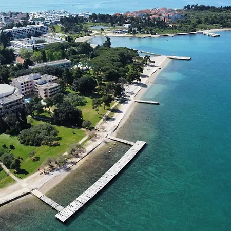 Apartment Koralj