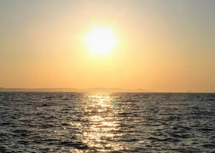 Koralj Apartment