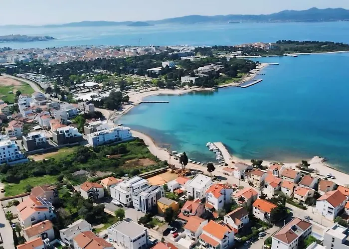 Koralj