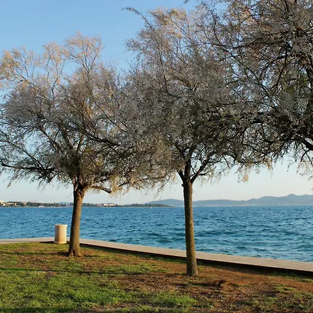 Koralj 公寓 扎达尔