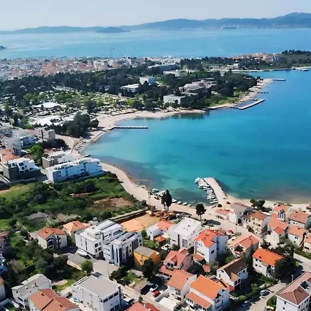 Koralj