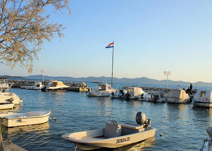 Koralj Διαμέρισμα